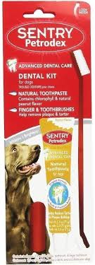 King Wholesale - Petrodex Toothpaste